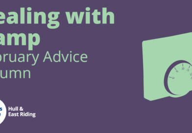 Dealing with Damp – February Advice Column