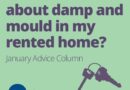 Graphic shows a set of house keys with the logo of Citizens Advice Hull & East Riding. Text reads: What can I do about damp and mould in my rented home? January Advice Column